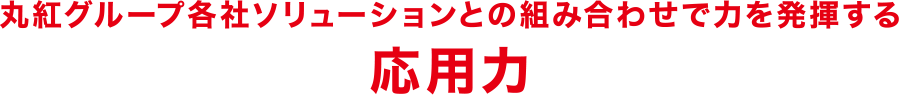丸紅グループ各社ソリューションとの組み合わせで力を発揮する応用力